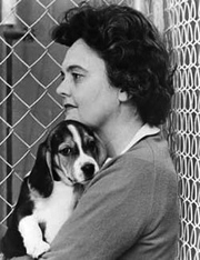 Ann Cottrell Free holding a laboratory beagle. 
